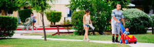 people walking at the park area